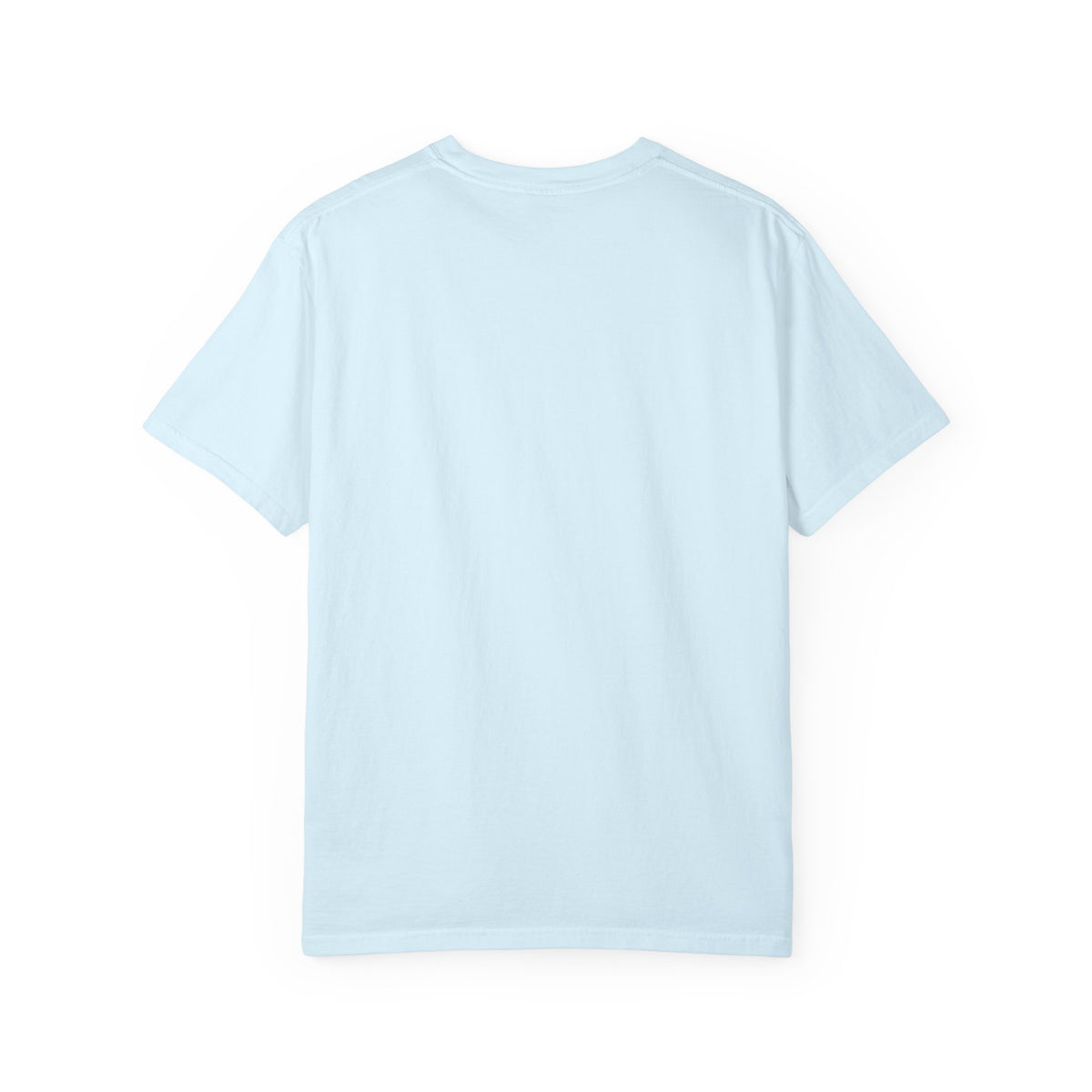 Back of Chambray t-shirt, plain with no print
